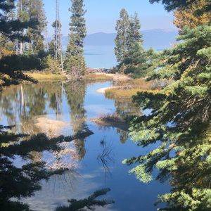 Meet your Posher, Dina